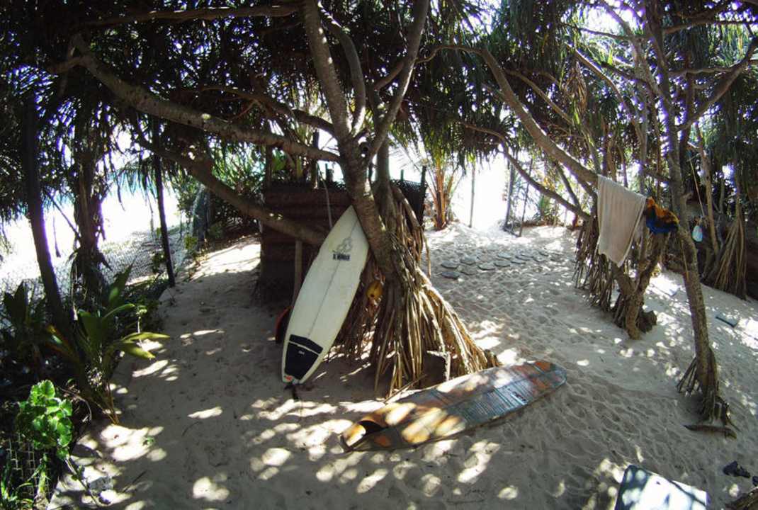 Der Garten zum Meer Hotel Haus am Meer Wilde Ananas
