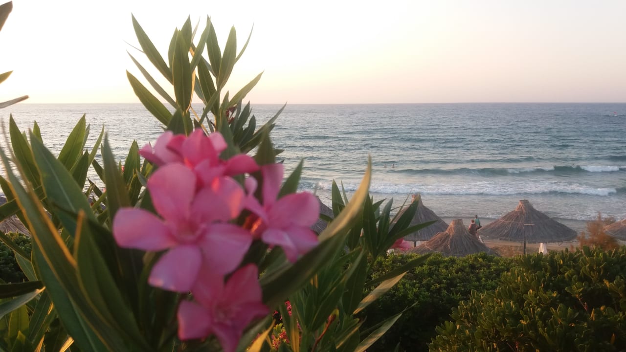 Ausblick Alexander Beach Hotel & Village Resort