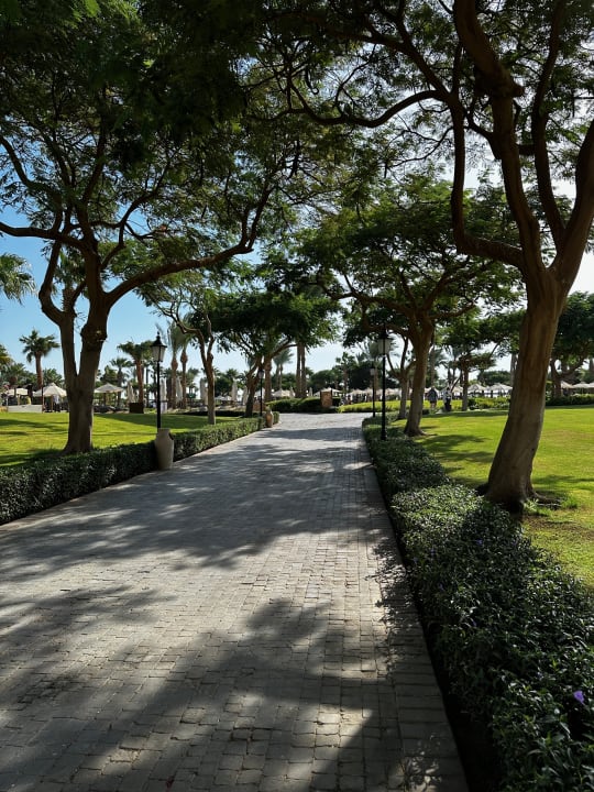 Gartenanlage Steigenberger ALDAU Beach Hotel