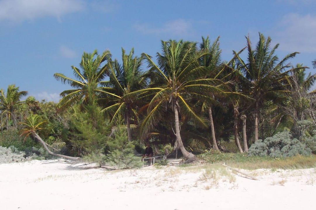 Karibikträume rechts vom Hotel Catalonia Playa Maroma