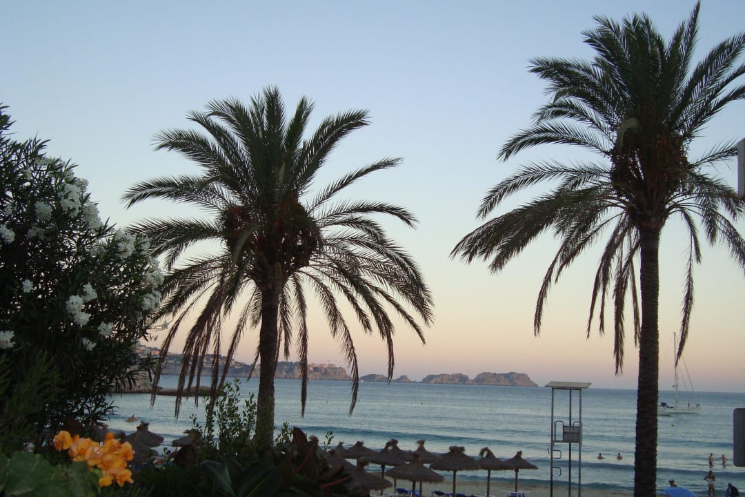 Strand Valentin Reina Paguera