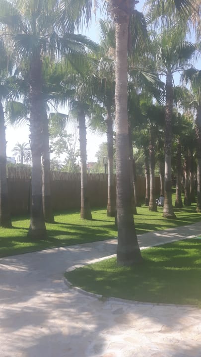 Gartenanlage Miramare Queen Hotel