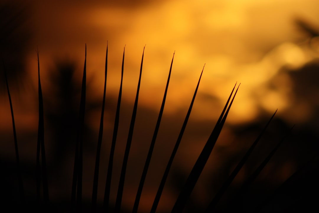 Sonnenaufgang Punta Cana Princess All Suites Resort & Spa