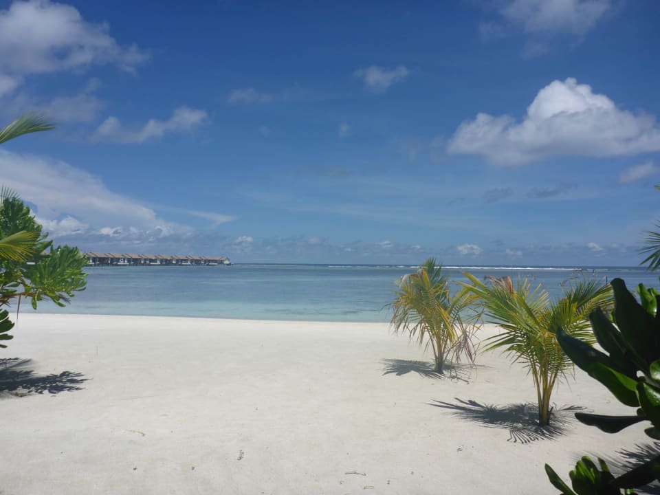 Vor dem Dining room The Residence Maldives