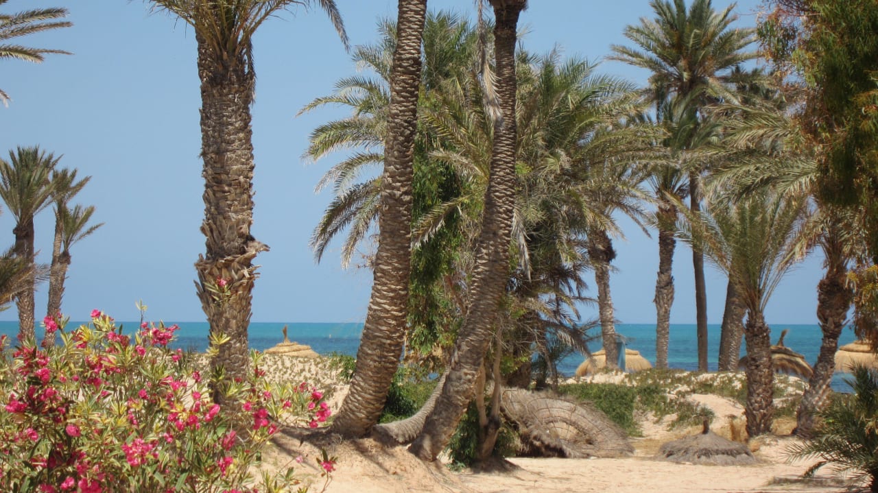 Strand Hotel El Mouradi Djerba Menzel