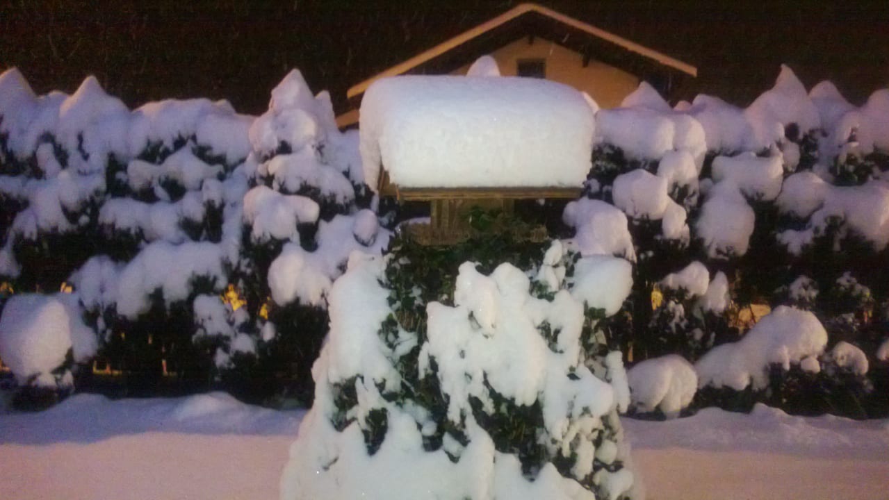 Außenansicht Hotel Pension Wilma