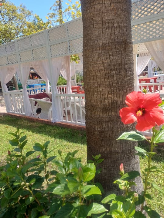 Gartenanlage Hotel Club Nena
