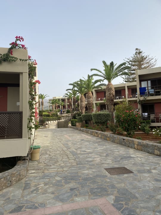 Gartenanlage allsun Hotel Malia Beach