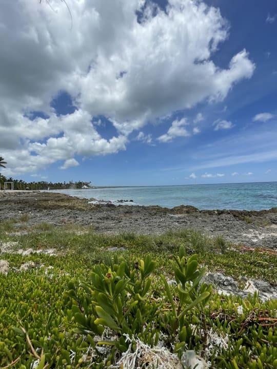 Strand Hotel Viva Dominicus Palace by Wyndham-All Inclusive Resort