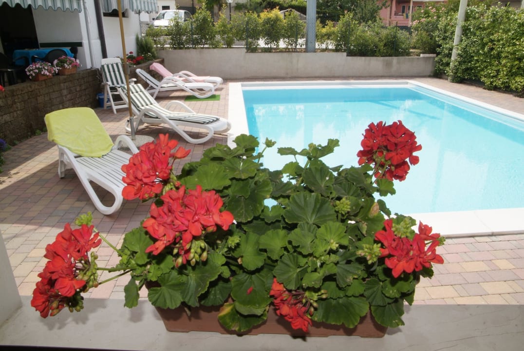 Gerani Residenza Ai 4 Olivi B&B