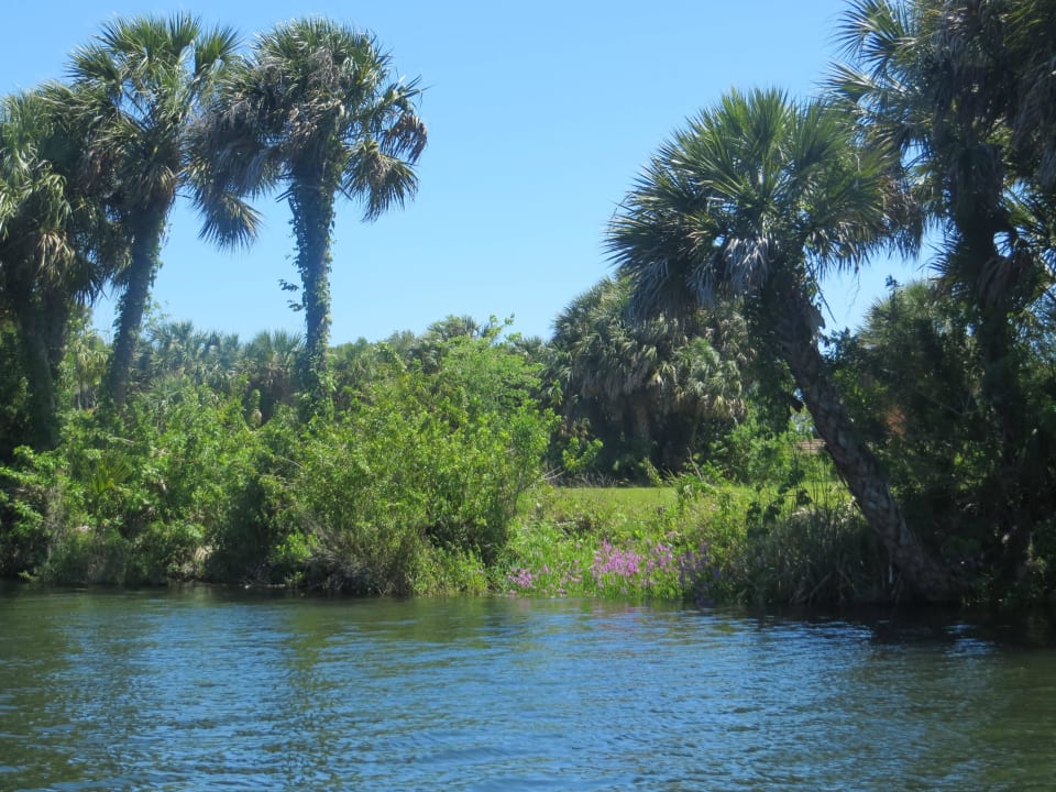 In der Hotelanlage Plantation on Crystal River