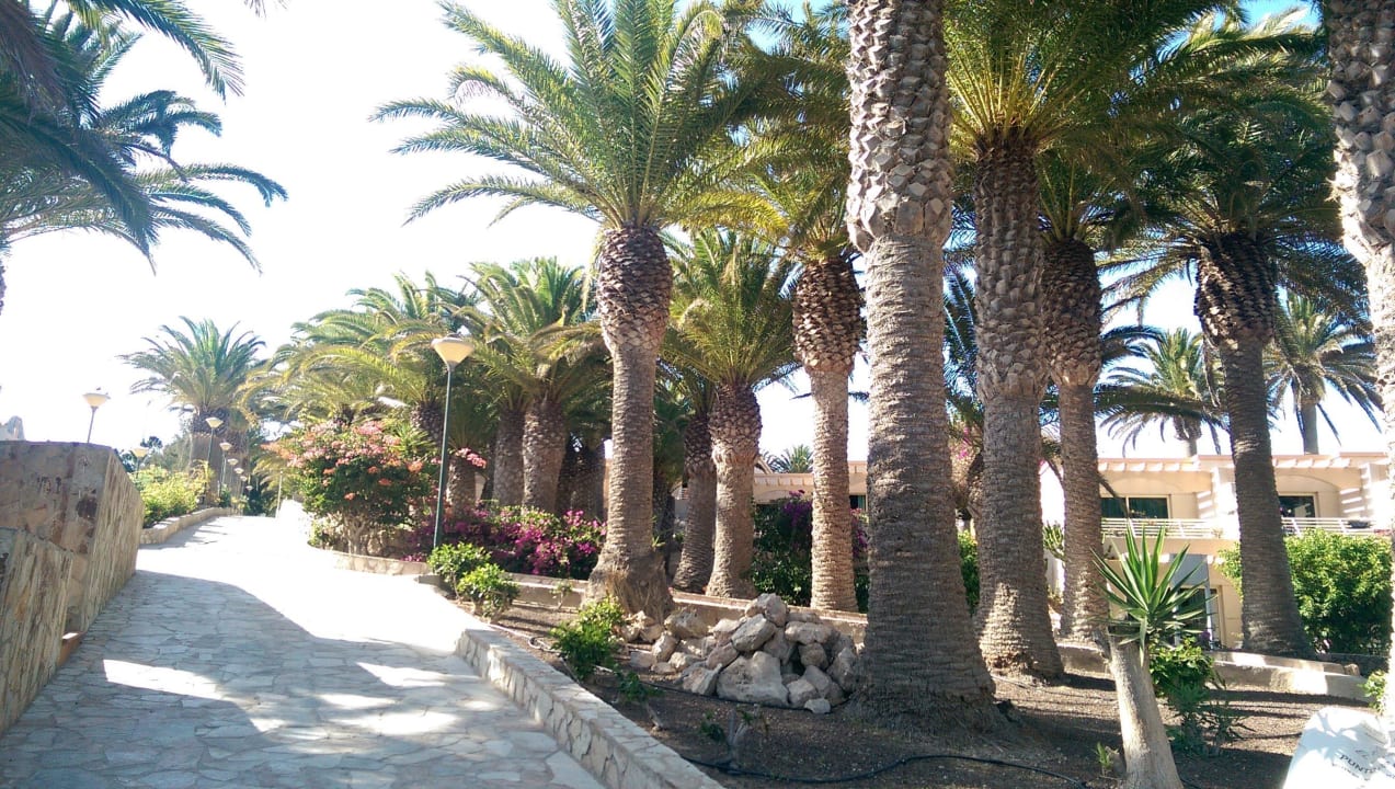 Innengarten SBH Monica Beach Resort