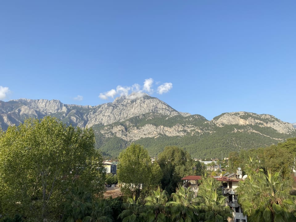 Ausblick Crystal Prestige Elite