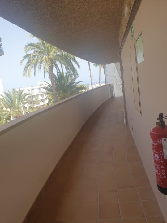 Ausblick Hotel Riu Palace Palmeras