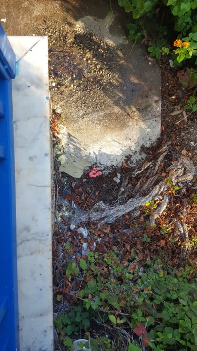 Ausblick Belconti Resort Hotel