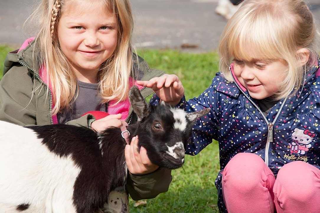 Arkadenhof Arkadenhof Familie Flasch