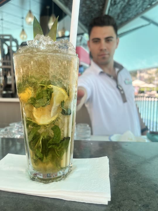 Gastro Arum Barut Collection