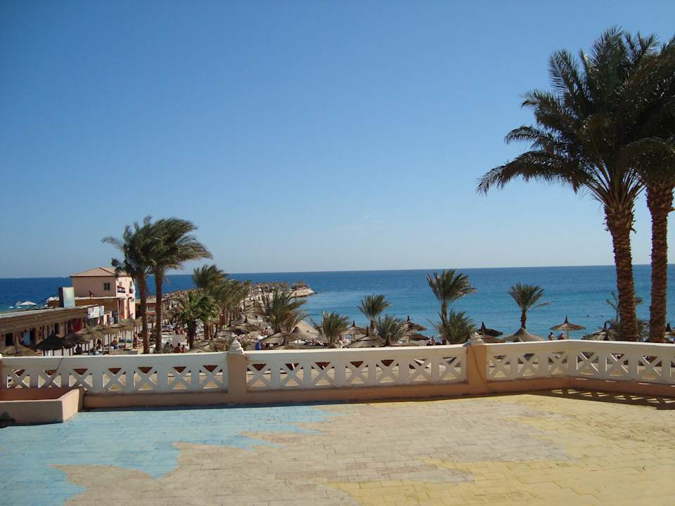 Вид из номера Beach Albatros Resort