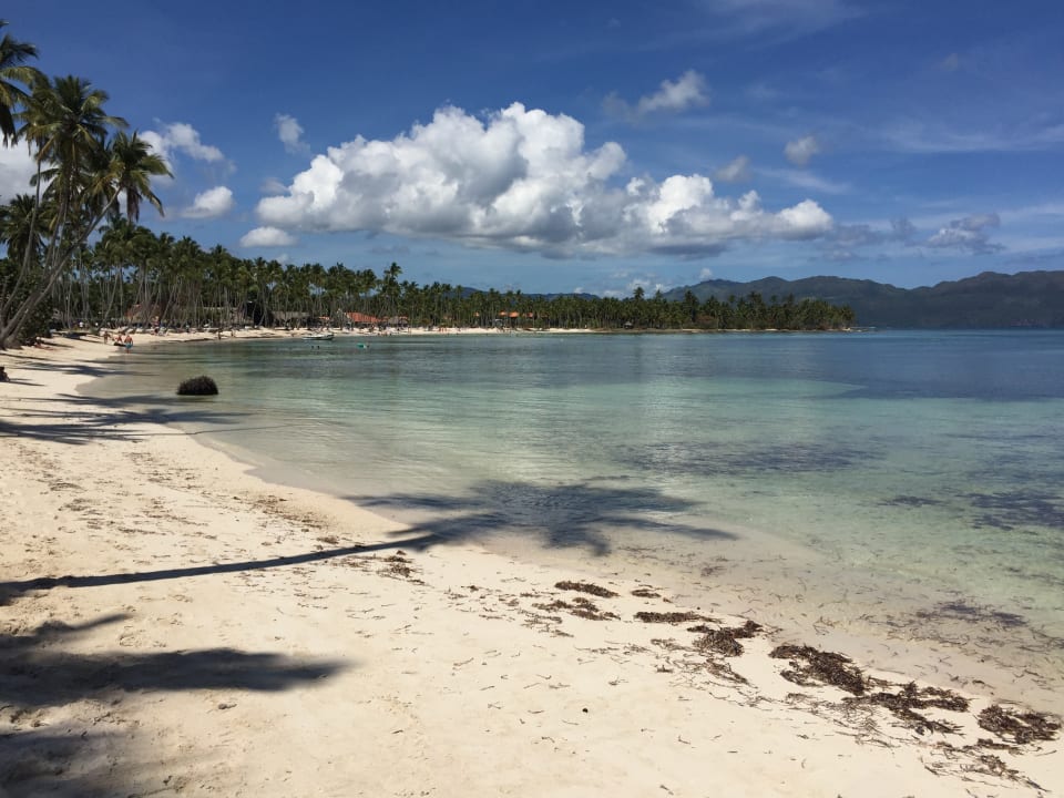Ausblick Wyndham Alltra Samana