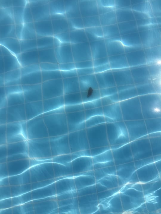 Pool Karya Family Resort  All Inclusive