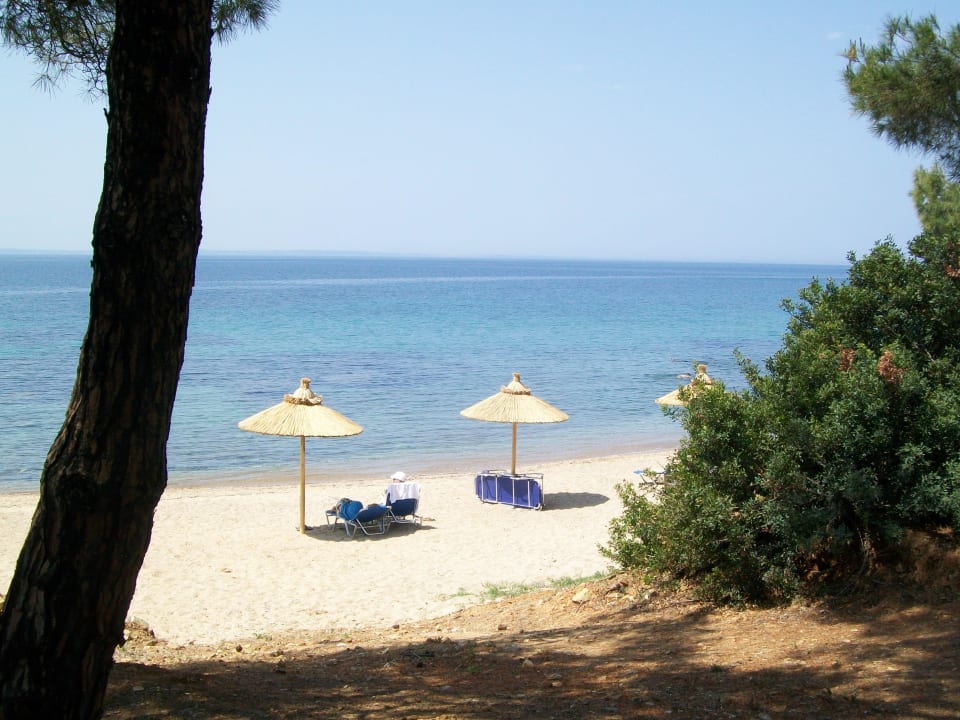 Hotelstrand (wie in der Karibik) Blue Dolphin Resort Hotel