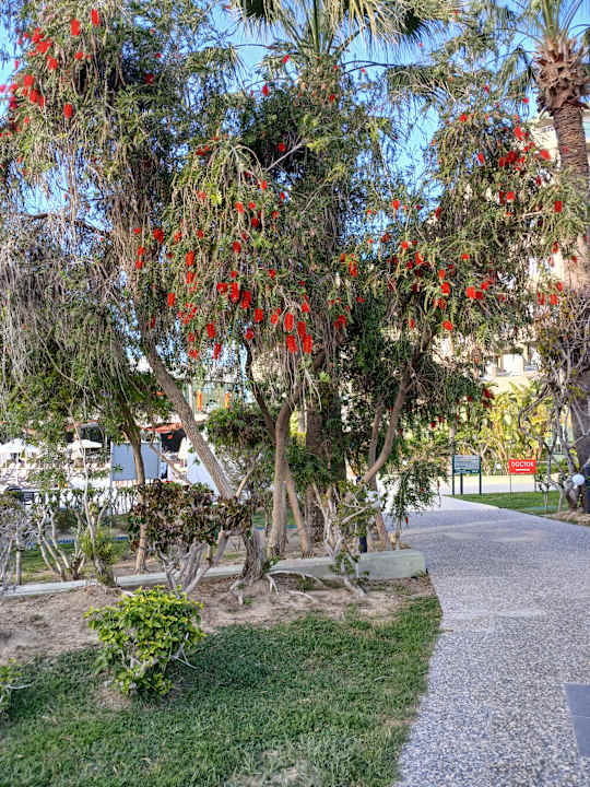 Gartenanlage VONRESORT Golden Beach