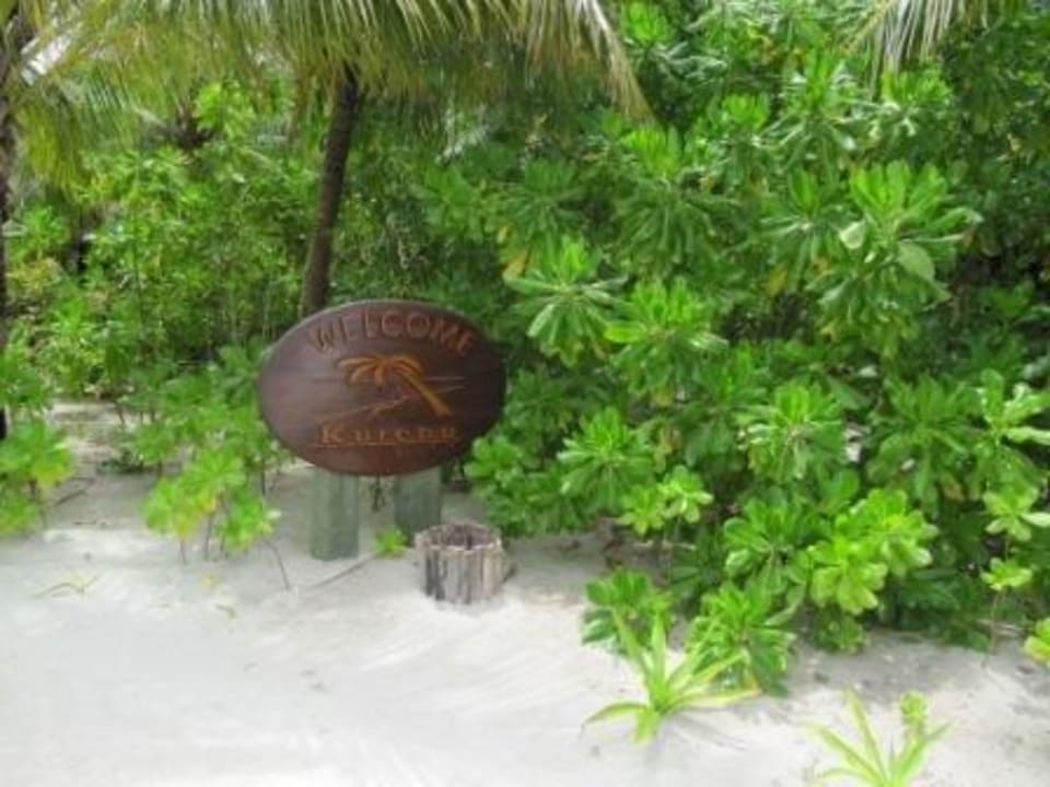 Kuredu-Island Kuredu Island Resort & Spa