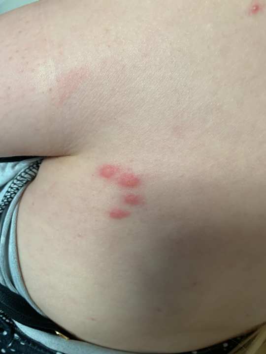 Zimmer Hotel Delphin Imperial