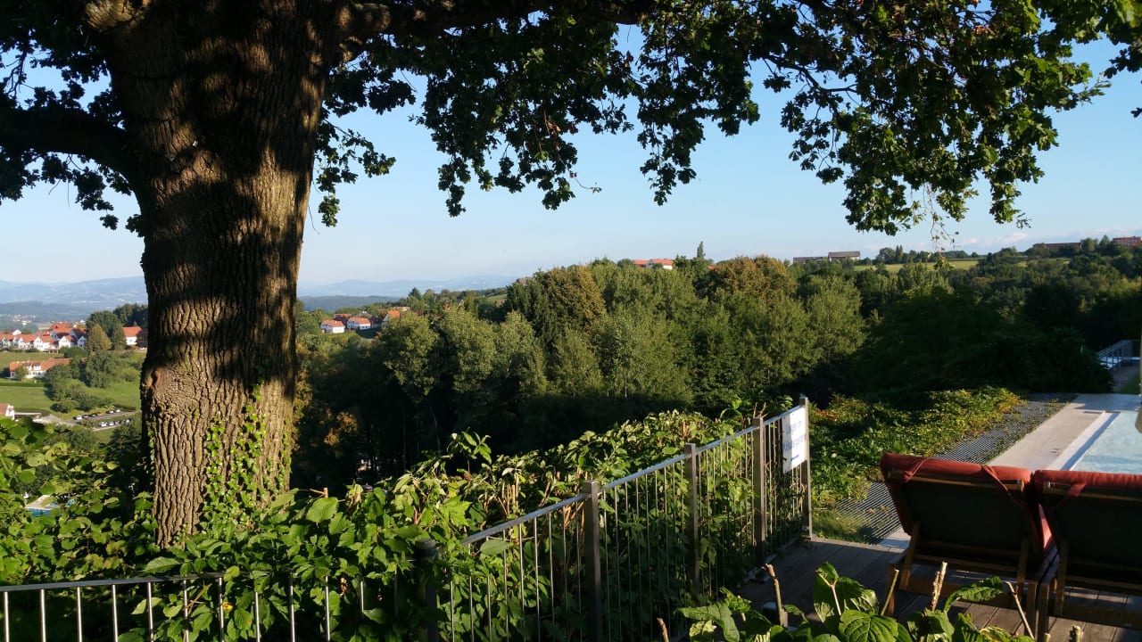 Gartenanlage Hotel & Spa Der Steirerhof Bad Waltersdorf