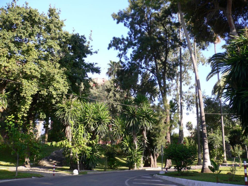 Hotel Reina Cristina Globales Reina Cristina