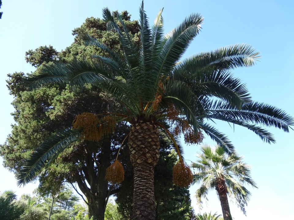 Gartenanlage Aldiana Club Rocca Nettuno Calabria