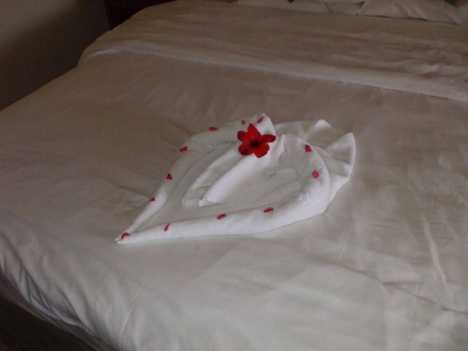 Dekoration Ghazala Gardens