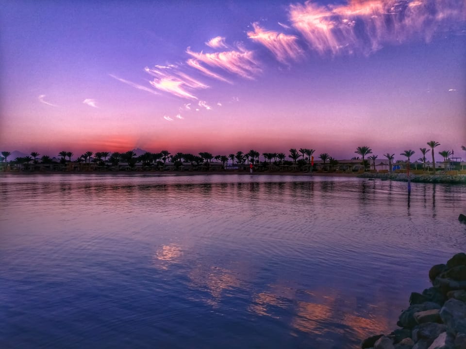 Sonnenuntergang Desert Rose