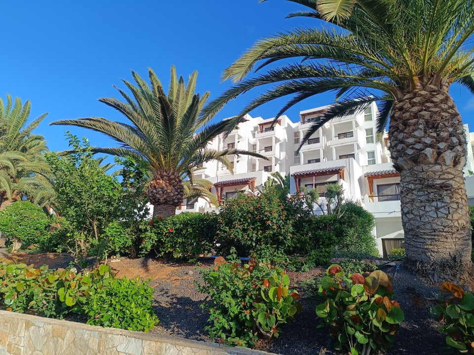 Gartenanlage Marina Playa Suite Hotel