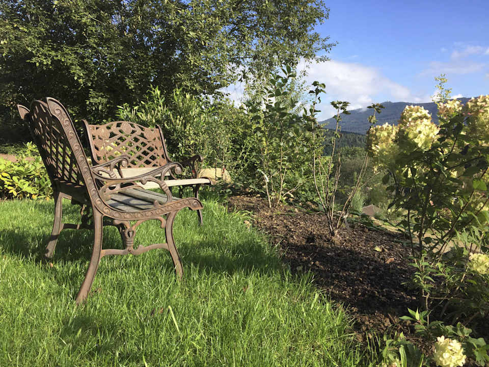Teil der Gartenanlage Spirit & SPA Hotel Birkenhof am Elfenhain