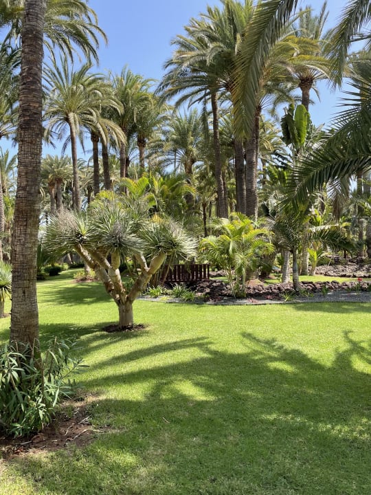 Gartenanlage Hotel Riu Palace Oasis