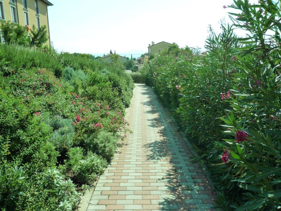 Weg zum Bolzplatz Hotel Villa Paradiso