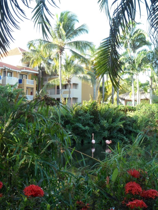 Garten Hotel Viva Dominicus Palace by Wyndham-All Inclusive Resort