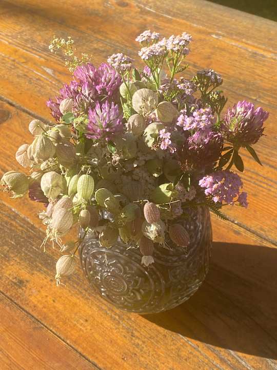 Lobby Hotel Belsoggiorno