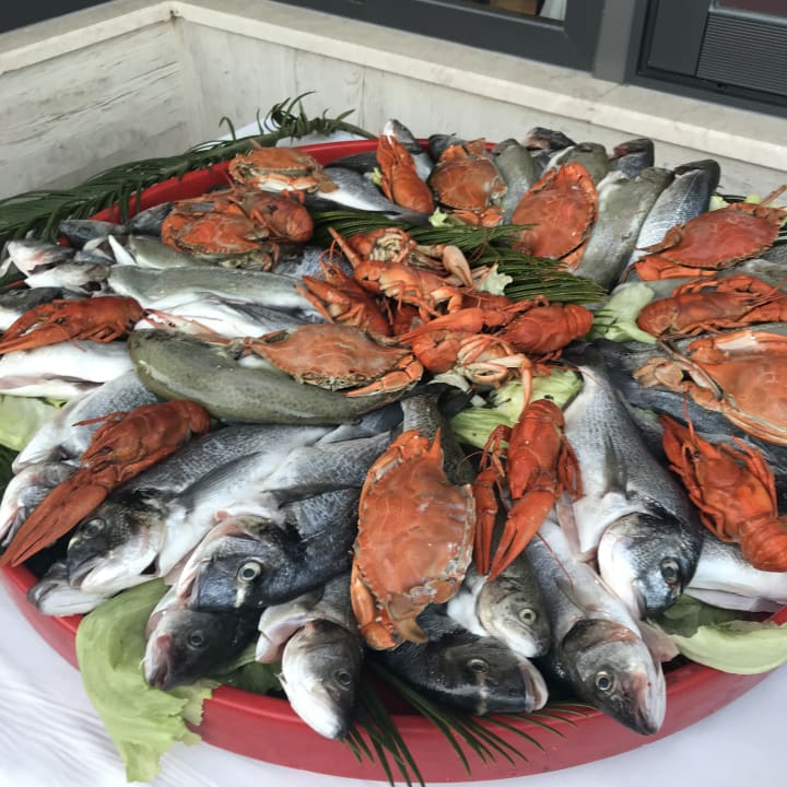 Gastro Grand Seker Hotel