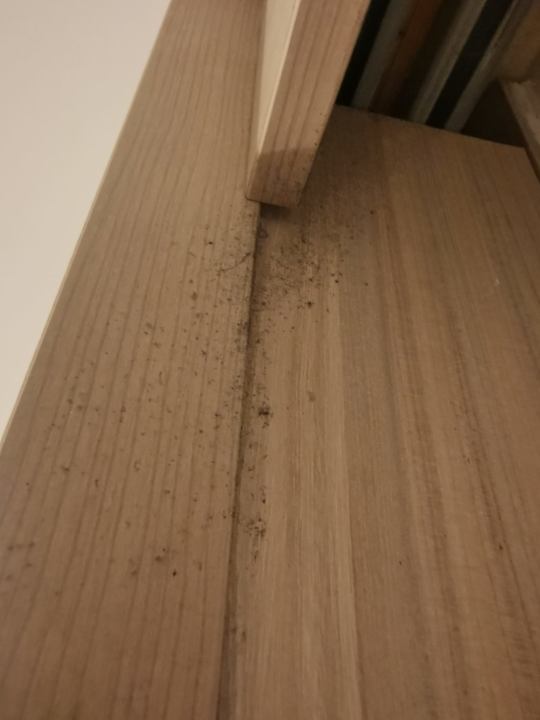 Zimmer Grupotel Alcudia Pins