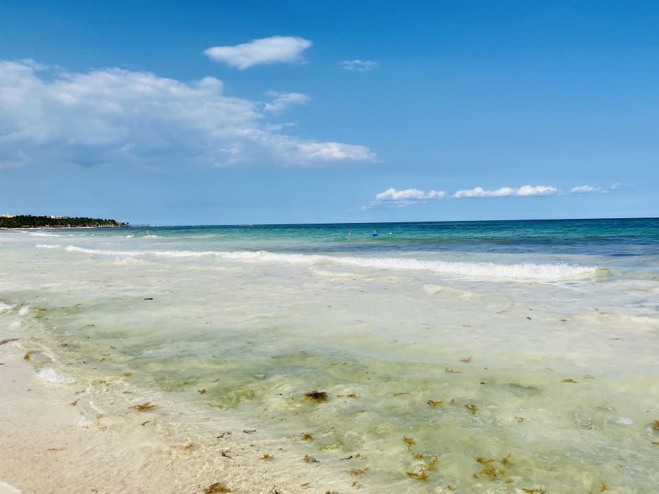Strand Unico 20°87° Hotel Riviera Maya