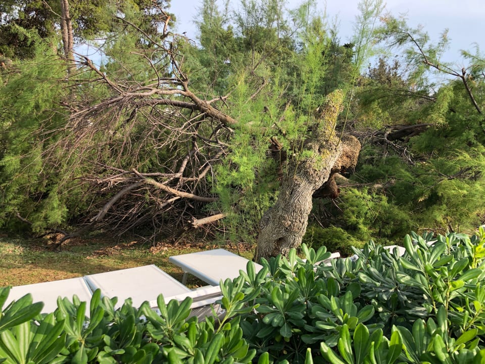 Pool Falkensteiner Club Funimation Borik