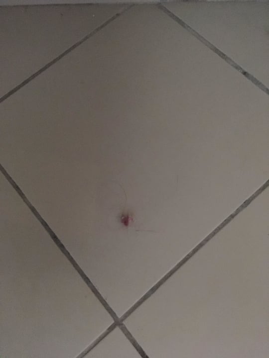 Dreckiger Boden trotz Erstbezug. Skanes Serail Aquapark