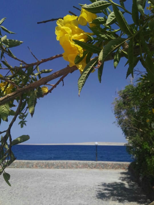 Ausblick Arabella Azur Resort