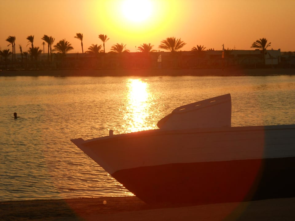 Sonnenuntergang Desert Rose