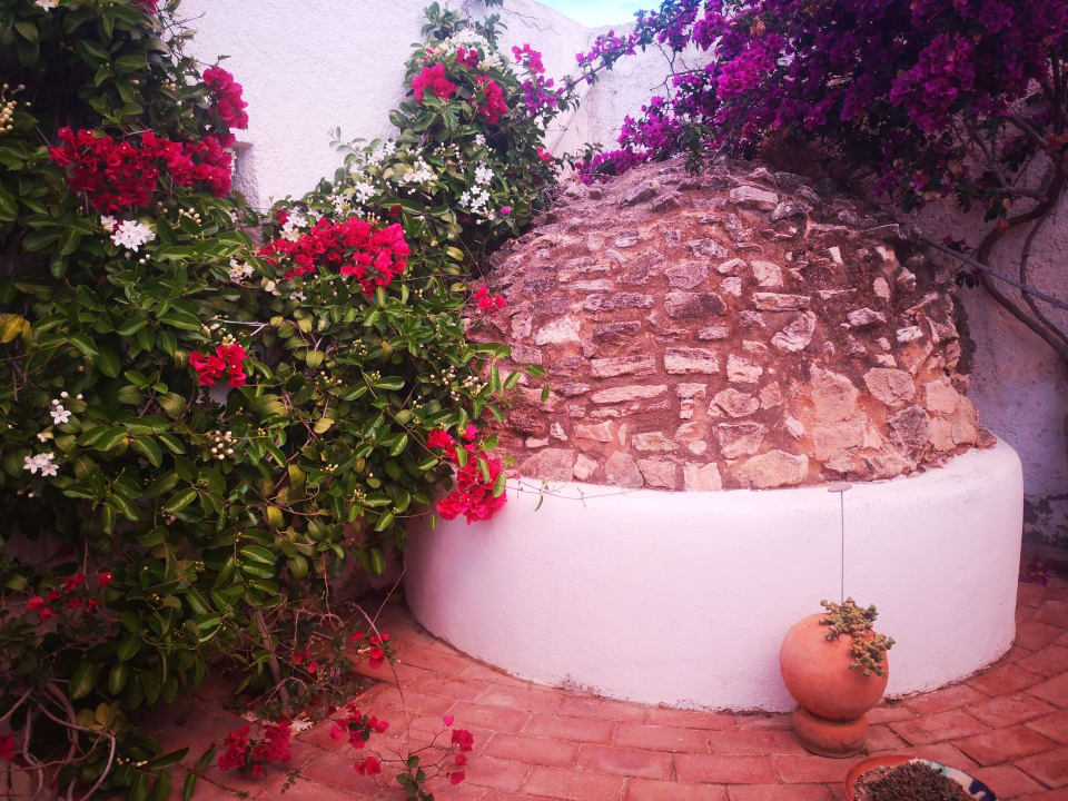 Gartenanlage Hotel Cortijo Los Malenos