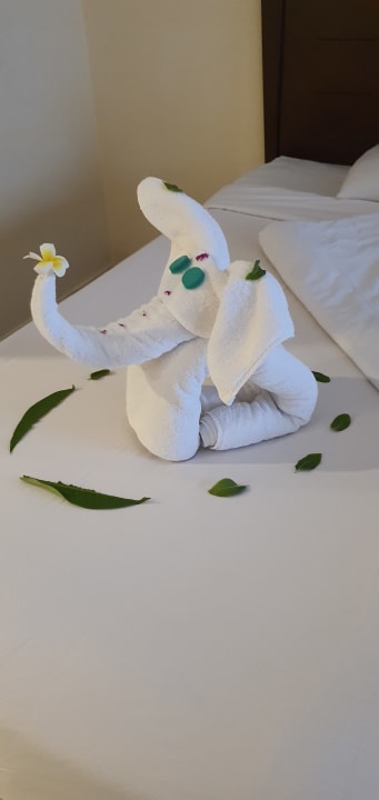 Zimmer Casa Mare Resort