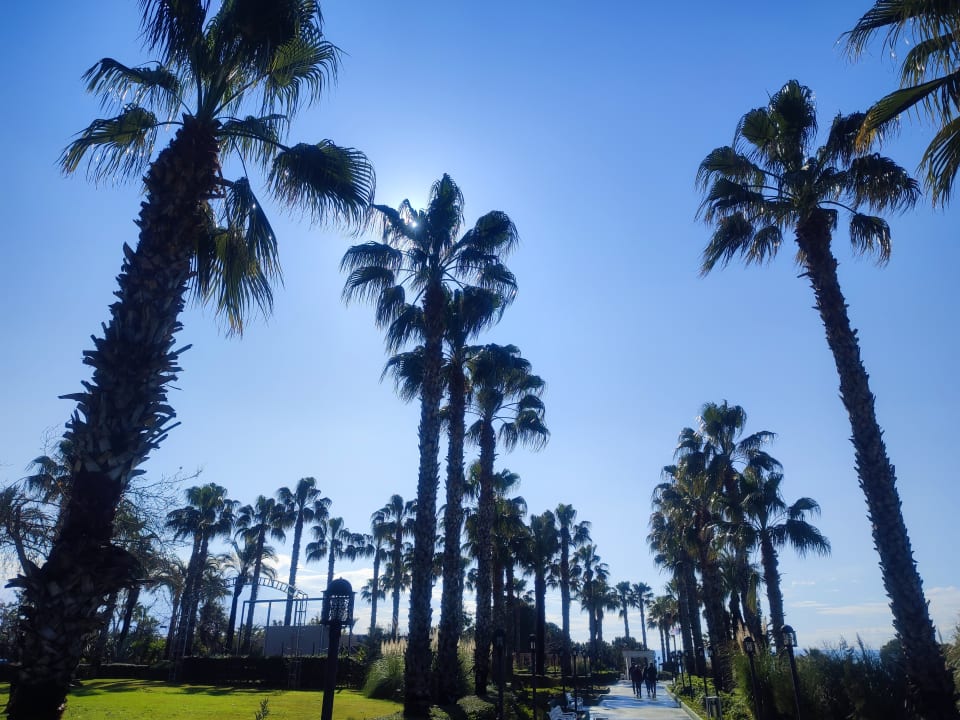 Gartenanlage Trendy Aspendos Beach Hotel