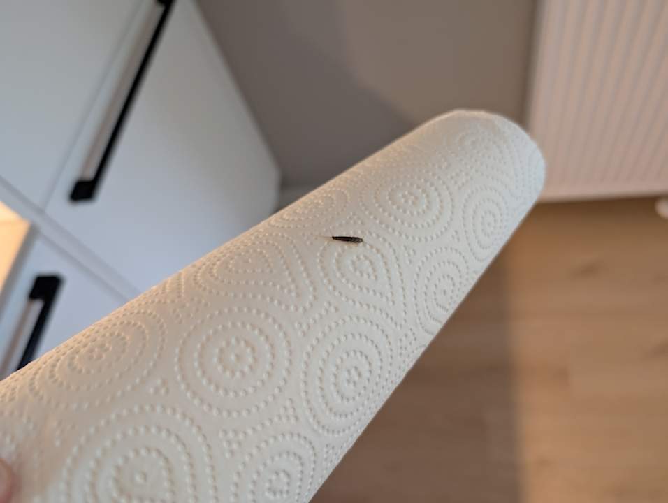 Zimmer Ferienpark Hof van Saksen